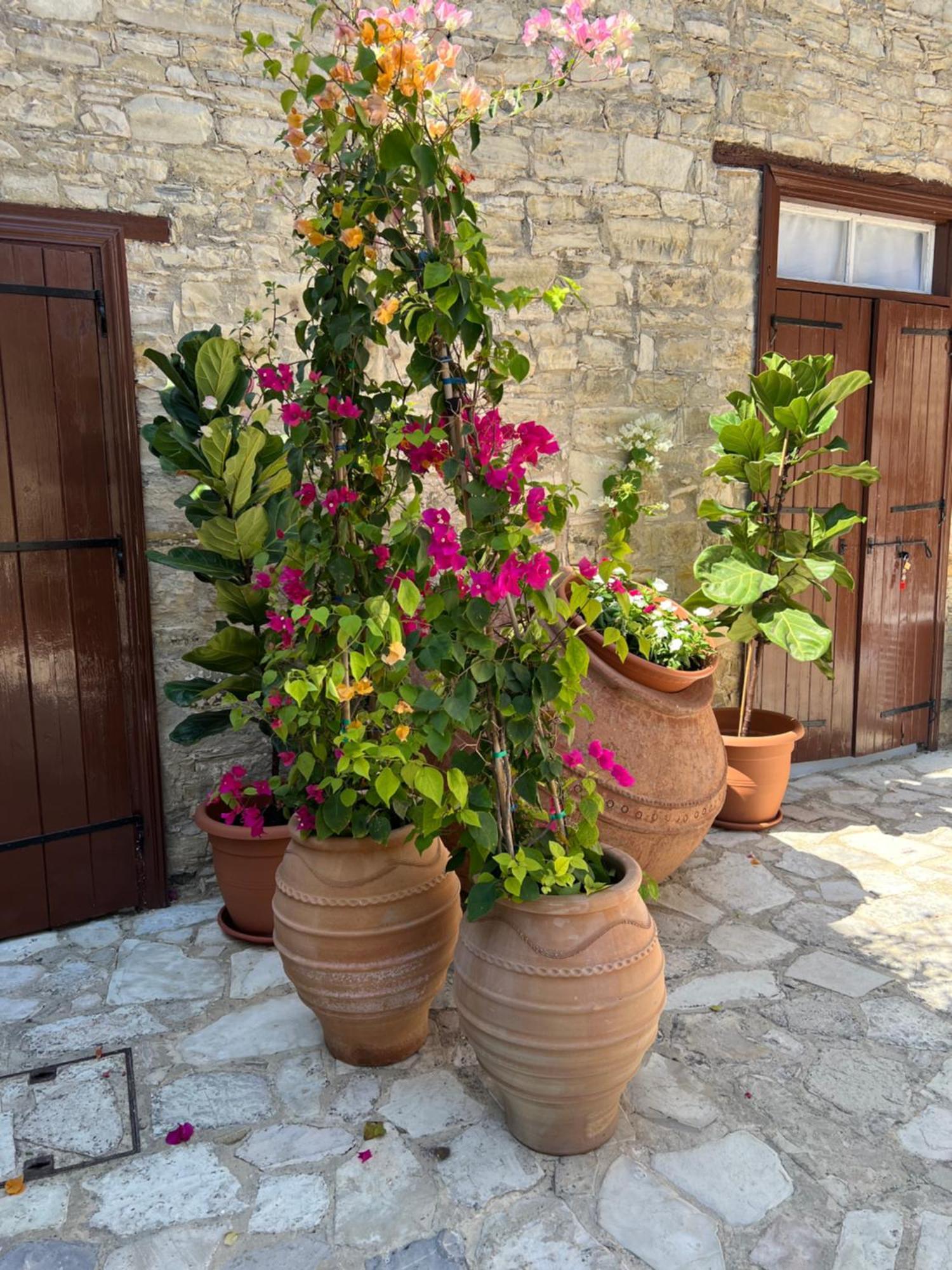 Villa Theodorou Lefkara Buitenkant foto